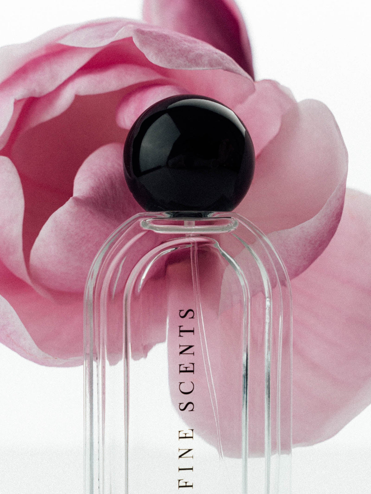 Joie de Sannes: The Art of Summer Pleasure