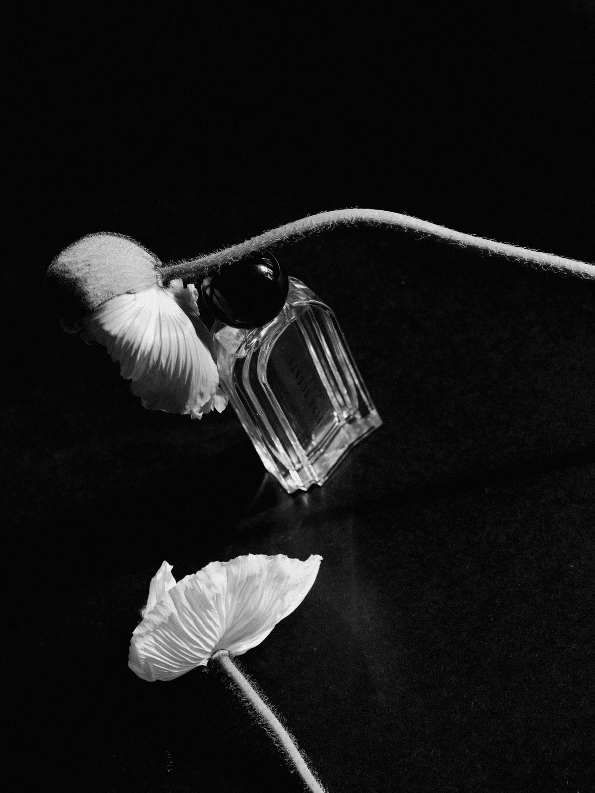 Perfumer stories: Jean-Claude Ellena