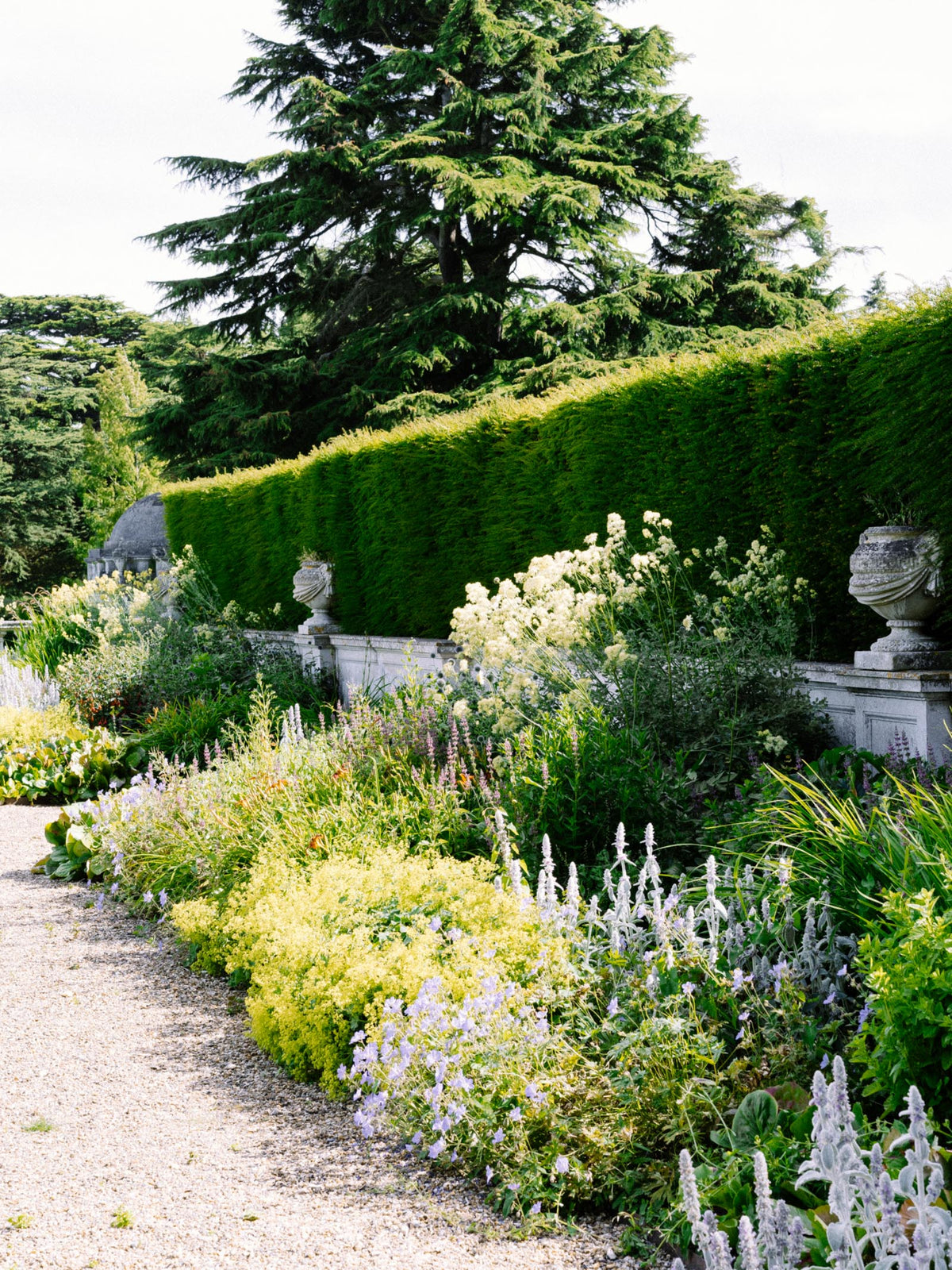 Perfumer stories: Jean-Claude Ellena