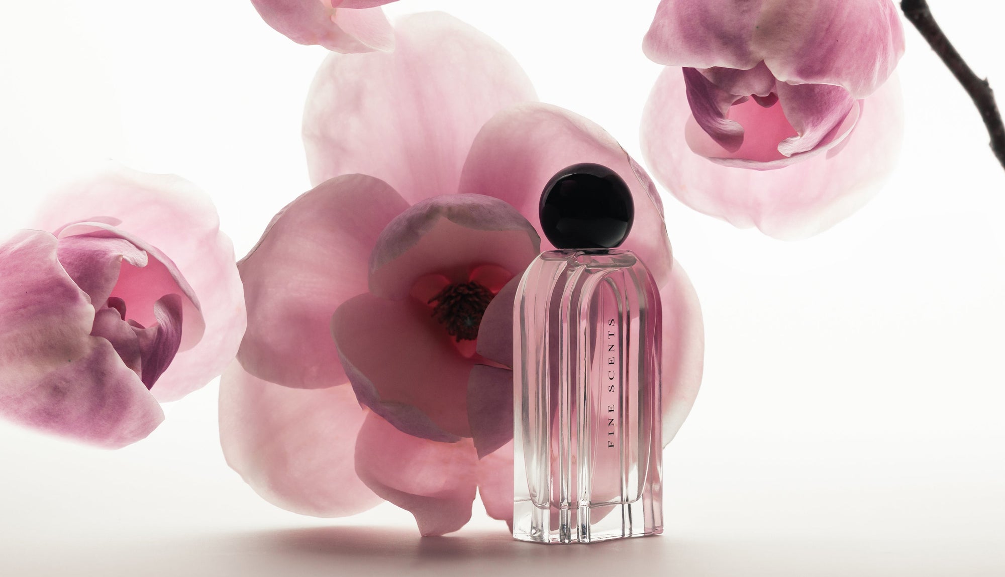 Fine Scents - The Art of Hedonism  
