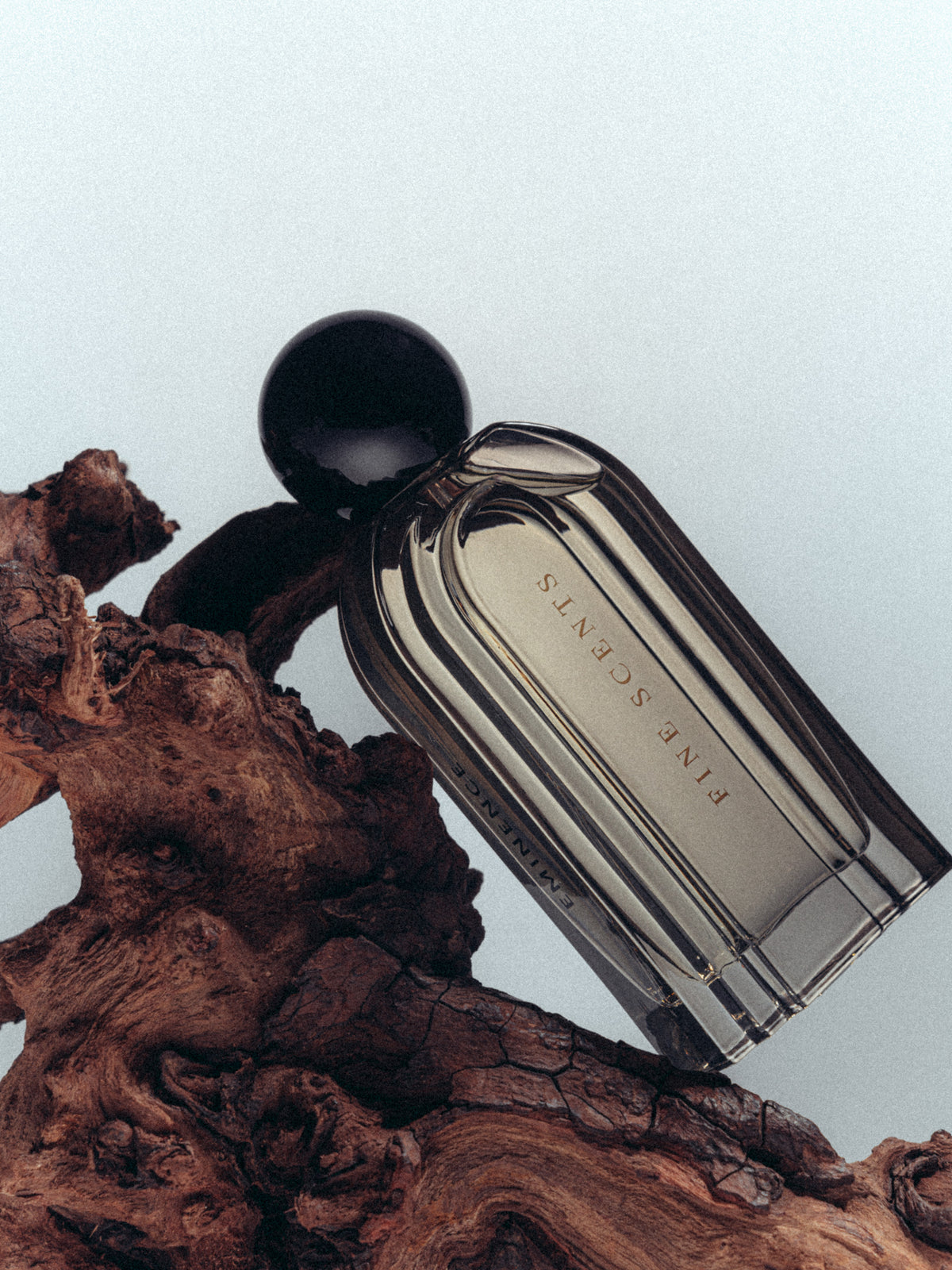 Perfume Ingredients: What’s Actually in the Bottle