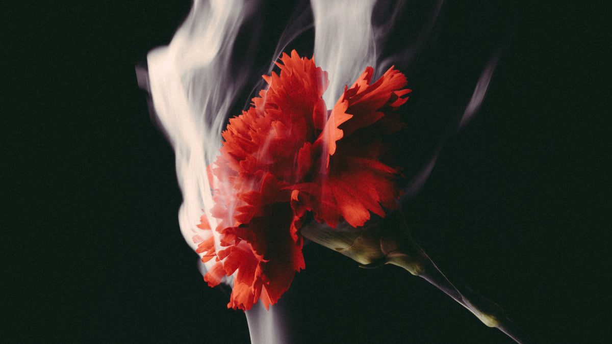 Fine Scents - The Art of Hedonism  